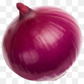 Red Onion, HD Png Download - onion vector png