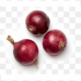 Cebolla Ajos, HD Png Download - onion vector png