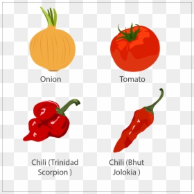 Clip Art, HD Png Download - onion vector png