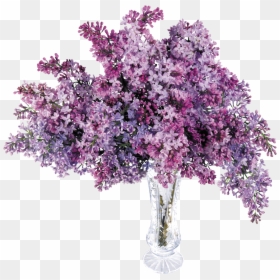 Transparent Lilac, HD Png Download - flowers tree png