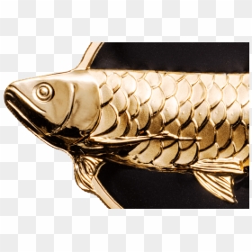 Dragon Fish, HD Png Download - golden fish png