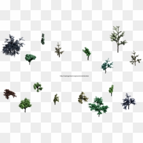 Palm Tree, HD Png Download - small trees png