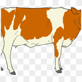 Beef Cow Cattle Clip Art, HD Png Download - cow images hd png