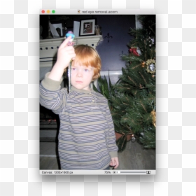 Toddler, HD Png Download - eye images png