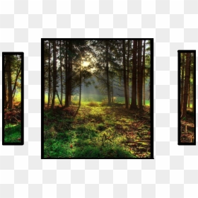 Landscape Oil Painting Nature, HD Png Download - nature png hd