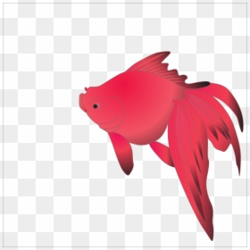 Portable Network Graphics, HD Png Download - nature png hd