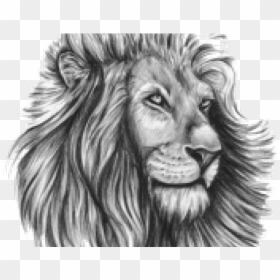 Tattoo Design Transparent Lion, HD Png Download - lion tattoo png