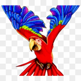 Flying Parrot Clipart, HD Png Download - parrot clipart png
