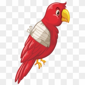 Parrot Clipart, HD Png Download - parrot clipart png