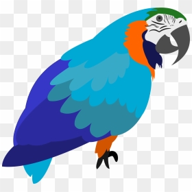 Free Parrot Png Cartoon, Transparent Png - parrot clipart png