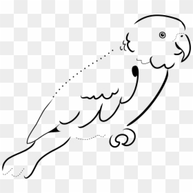 Parrot Black And White, HD Png Download - parrot clipart png