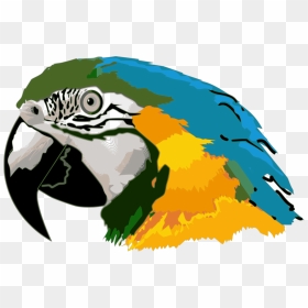 Parrot Head Clip Art, HD Png Download - parrot clipart png