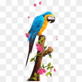 Parrot Clipart Png, Transparent Png - parrot clipart png
