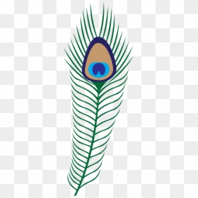 Peacock Feather Clipart Png, Transparent Png - background images in png format