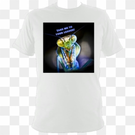 Yoda, HD Png Download - praying mantis png