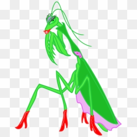 Illustration, HD Png Download - praying mantis png