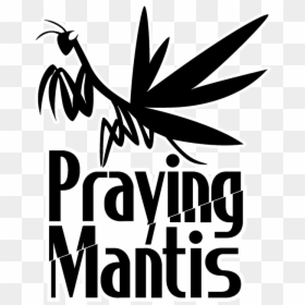 Praying Mantis Mgs, HD Png Download - praying mantis png