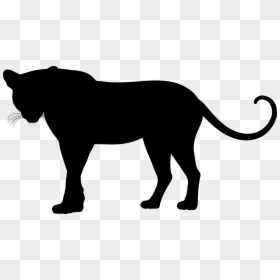 Leopard Silhouette Clip Art, HD Png Download - florida silhouette png