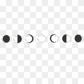 Circle, HD Png Download - tumble weed png