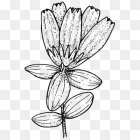 Tundra Plant Clipart, HD Png Download - oregon outline png
