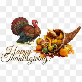 Thanksgiving Cornucopia, HD Png Download - happy thanksgiving turkey png