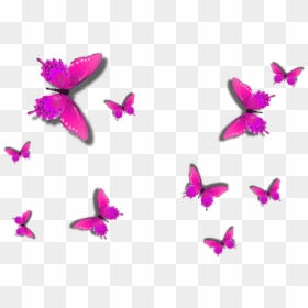 Borboletas Png Fundo Transparente, Png Download - borboletas png
