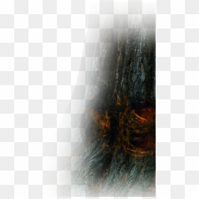 Sunlight, HD Png Download - img_tree.png
