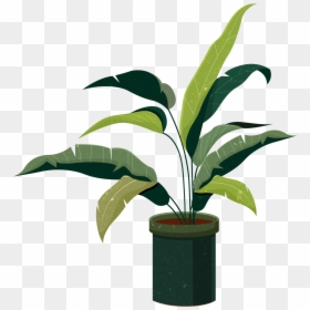 Sketsa Tanaman Hias, HD Png Download - planting png