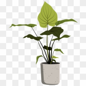 Plants In Pots Sketch, HD Png Download - planting png