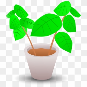 Pot Plant Clip Art, HD Png Download - planting png