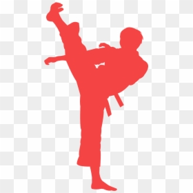 Karate Silhouette Grey, HD Png Download - kick png