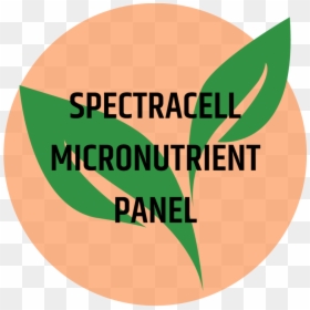 Spectracell Micronutrient Panel - Circle, HD Png Download - panel png