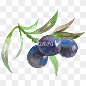 Watercolor Painting Of Grapes Vector Icon Illustration - Watercolor Painting, HD Png Download - paint icon png