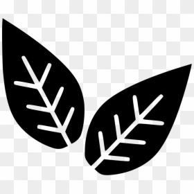 Leaves Plant Biology - Transparent Biology Icon Png, Png Download - plant icon png