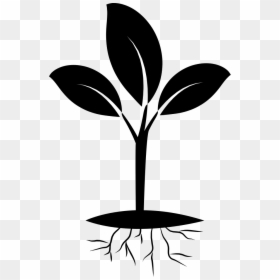 Free Plant Roots Png - Plant Clipart Black And White Png, Transparent Png - plant icon png