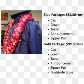 Undergraduate Package - Academic Dress, HD Png Download - gold graduation cap png