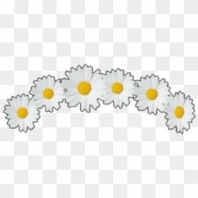 Clip Art Crown Overlays - Circle, HD Png Download - flowercrown png