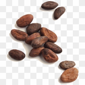 Kakao - Cocoa Beans, HD Png Download - cocoa png