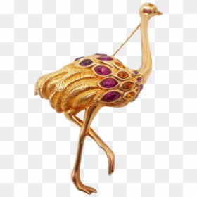 Swarovski Ostrich Or Emu Pin, HD Png Download - emu png
