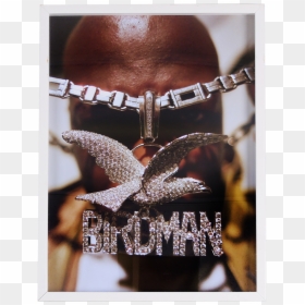 Cat Image - Lingerie, HD Png Download - birdman png