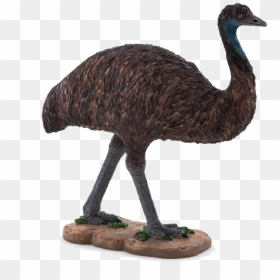 Mojo Emu, HD Png Download - emu png