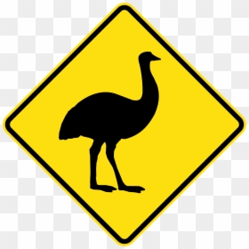 Transparent Emu Clipart - Australian Emu Road Signs, HD Png Download - emu png
