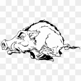 Dog Decal Arkansas Razorbacks Football Pig Sports - Arkansas Razorbacks, HD Png Download - razorback png