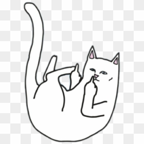 Png, Png Tumblr, And Gato Troll Image - Ripndip Wallpaper Iphone X, Transparent Png - tumblr cat png