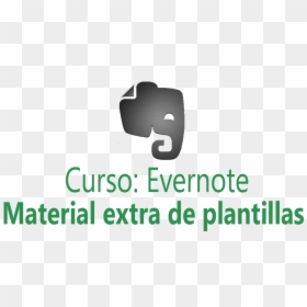 Evernote Logo Download - Sign, HD Png Download - evernote logo png