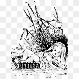 Moses In The Bulrushes - Baby Moses Clipart Black And White, HD Png Download - moses png