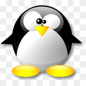 Pinguim Png, Transparent Png - penguin png