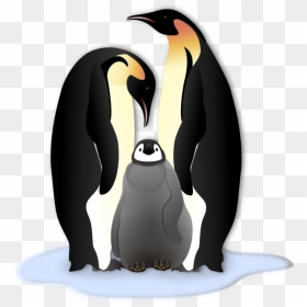 Emperor Penguin Clip Art, HD Png Download - penguin png