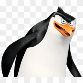Rico Pinguins De Madagascar, HD Png Download - penguin png