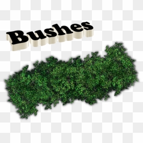 Kamlesh Name, HD Png Download - bushes png